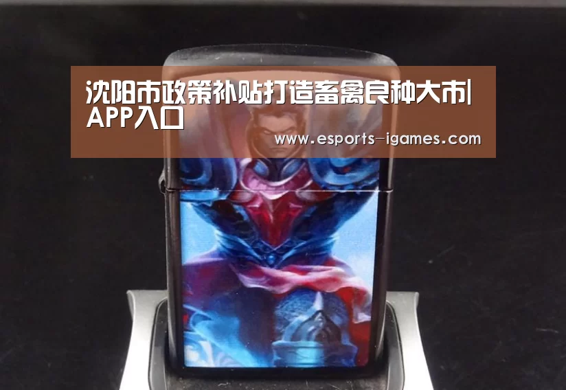 APP入口