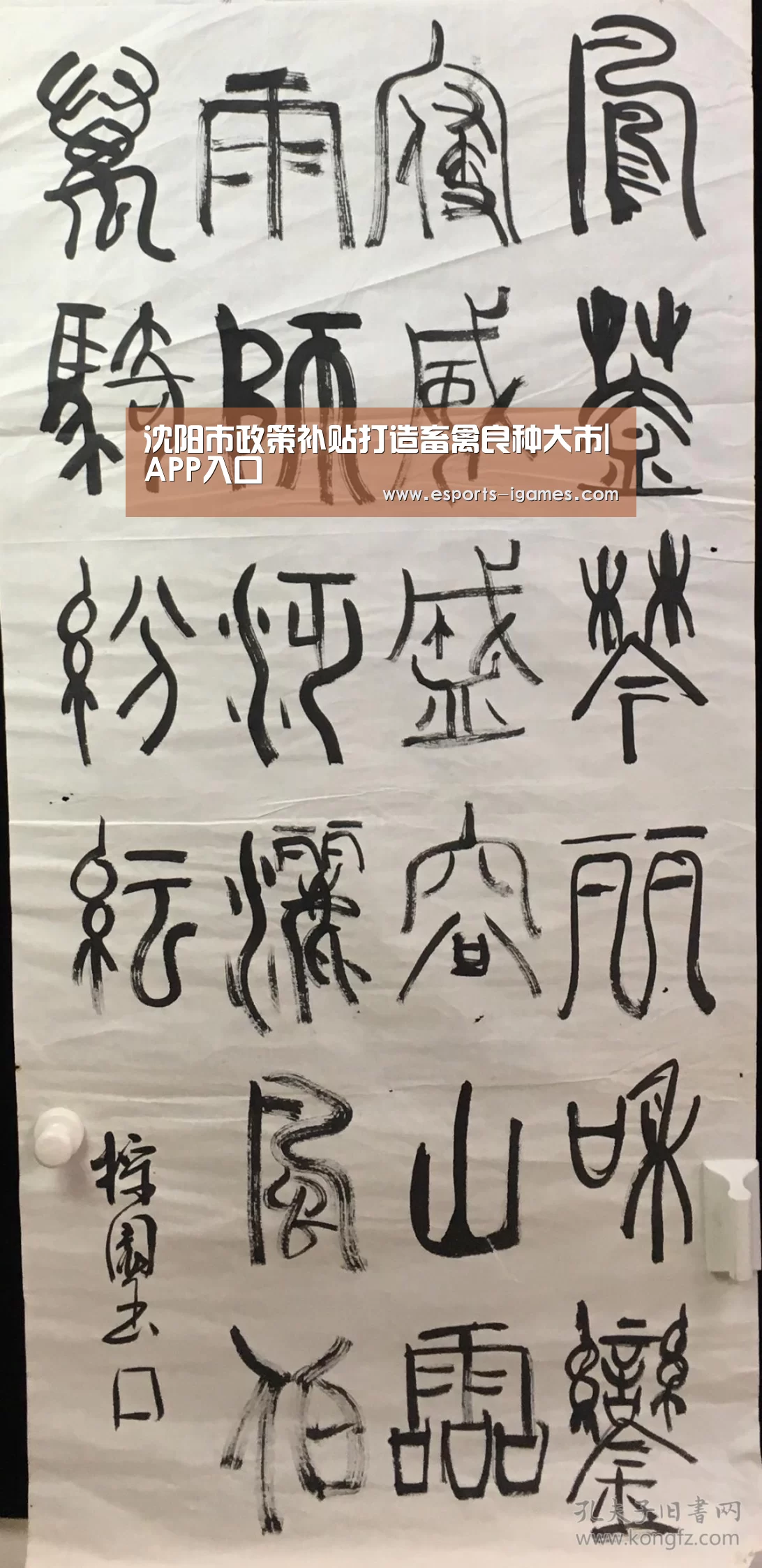 爱游戏官网