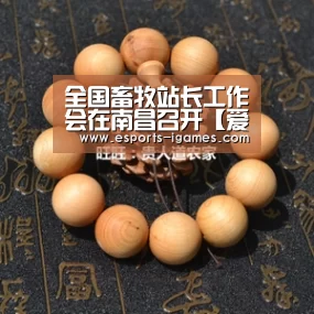 爱游戏官网