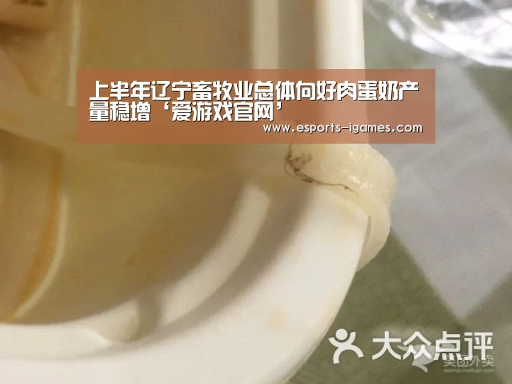 爱游戏直播