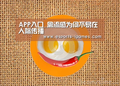 APP入口