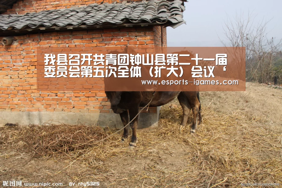 爱游戏官网
