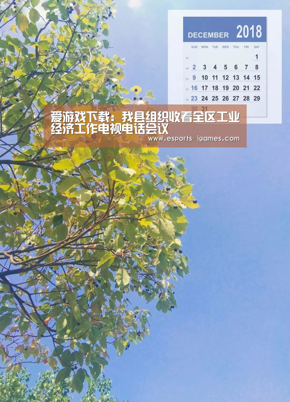 爱游戏下载:我县组织收看全区工业经济工作电视电话会议(图3) 爱游戏官网