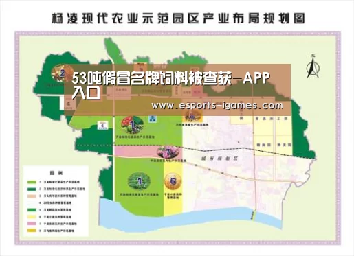 APP入口