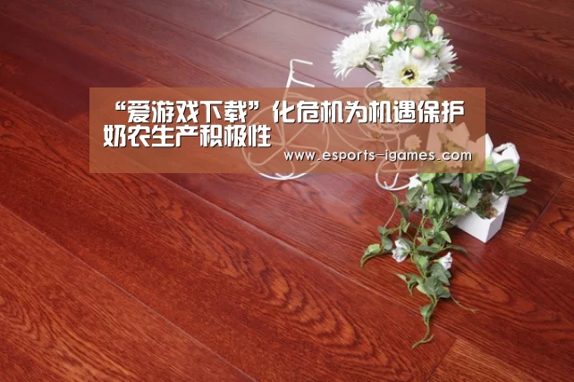 爱游戏直播