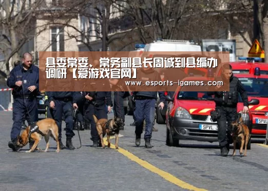 县委常委、常务副县长周诚到县编办调研【爱游戏官网】(图4) 爱游戏官网