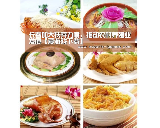 长春加大扶持力度,推动农村养殖业发展【爱游戏下载】(图3) 爱游戏下载