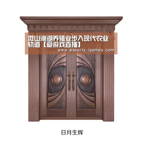 微山渔湖养殖业步入现代农业轨道【爱游戏直播】(图1) APP入口