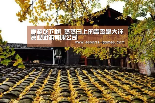爱游戏官网