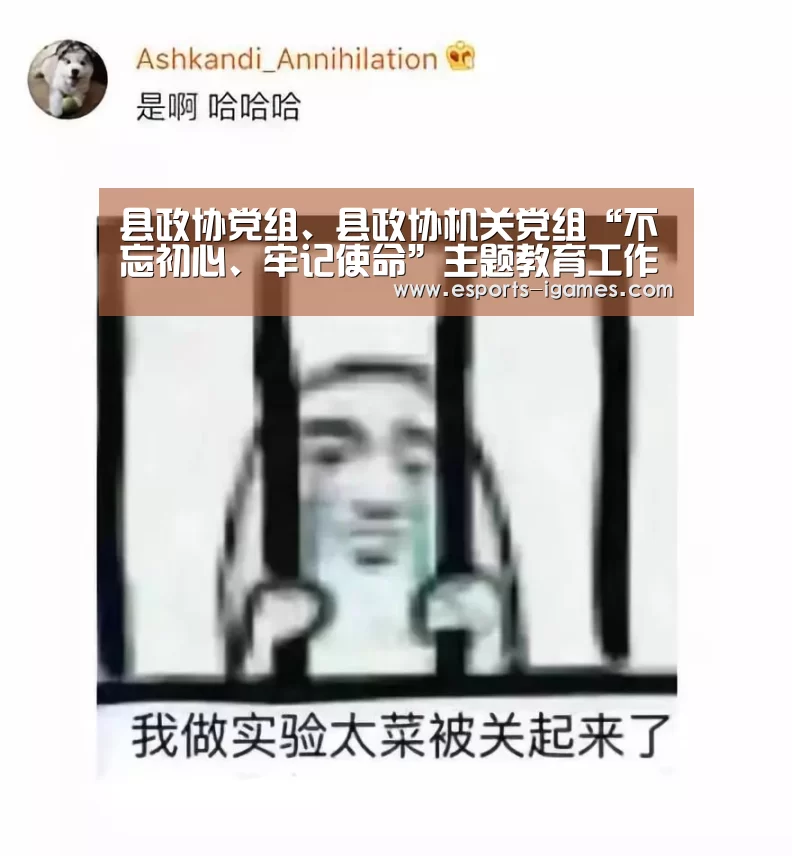 县政协党组、县政协机关党组“不忘初心、牢记使命”主题教育工作会议召开:爱游戏官网(图4) 爱游戏直播